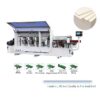 Automatic-Banding-Machine-T-600