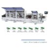 Automatic PVC edge banding machine T450GY