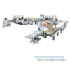Double End Tenoner Production Line.