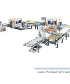Double End Tenoner Production Line.